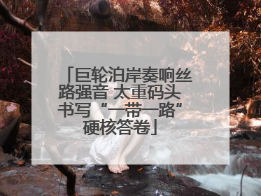 巨轮泊岸奏响丝路强音 太重码头书写“一带一路”硬核答卷