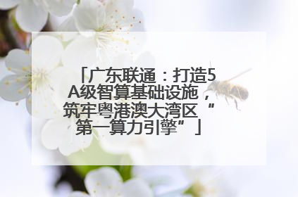 广东联通：打造5A级智算基础设施，筑牢粤港澳大湾区“第一算力引擎”