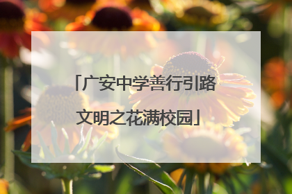 广安中学善行引路 文明之花满校园