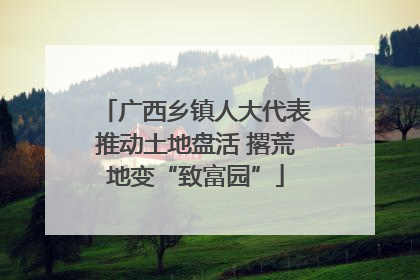 广西乡镇人大代表推动土地盘活 撂荒地变“致富园”