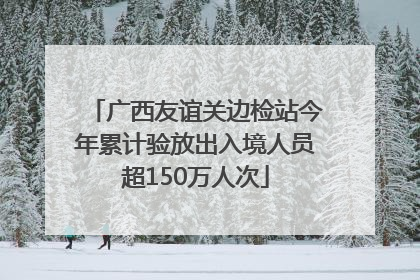 广西友谊关边检站今年累计验放出入境人员超150万人次