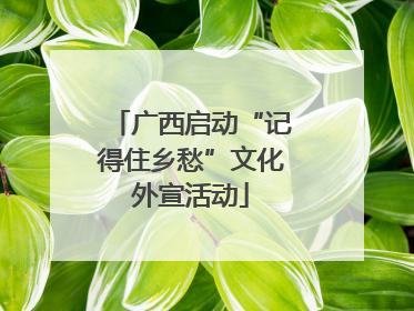 广西启动“记得住乡愁”文化外宣活动