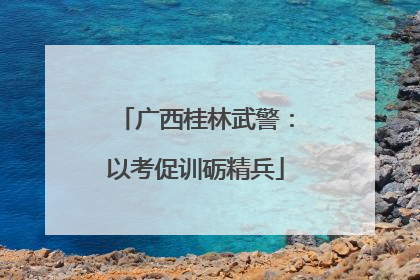 广西桂林武警：以考促训砺精兵