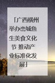 广西横州举办峦城鱼生美食文化节 推动产业标准化发展