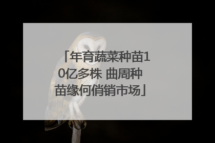 年育蔬菜种苗10亿多株 曲周种苗缘何俏销市场