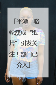 平潭一骆驼瘦成“纸片”引发关注！部门已介入