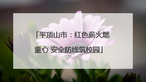 平顶山市：红色薪火燃童心 安全防线筑校园