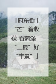 府东街丨“芒”着收获 看菏泽“三夏”好“丰景”