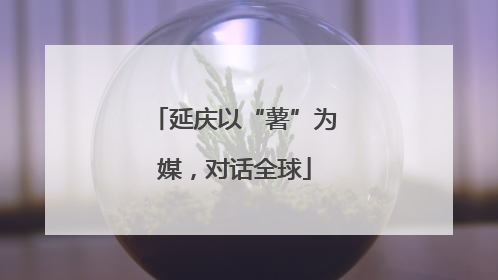 延庆以“薯”为媒，对话全球