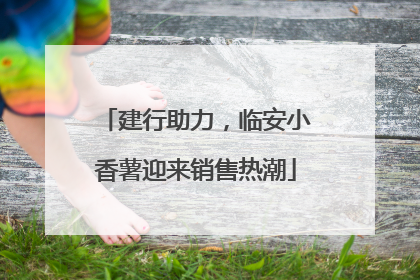 建行助力，临安小香薯迎来销售热潮