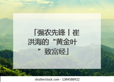 强农先锋丨崔洪海的“黄金叶”致富经