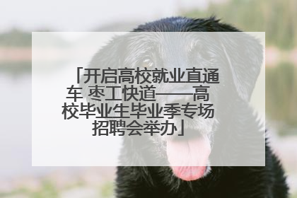 开启高校就业直通车 枣工快道——高校毕业生毕业季专场招聘会举办
