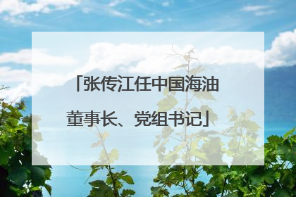张传江任中国海油董事长、党组书记