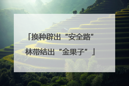 换种辟出“安全路” 林带结出“金果子”