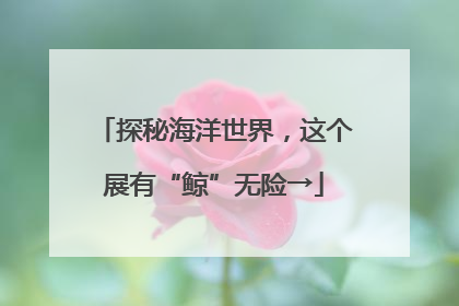 探秘海洋世界，这个展有“鲸”无险→