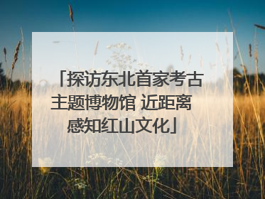 探访东北首家考古主题博物馆 近距离感知红山文化