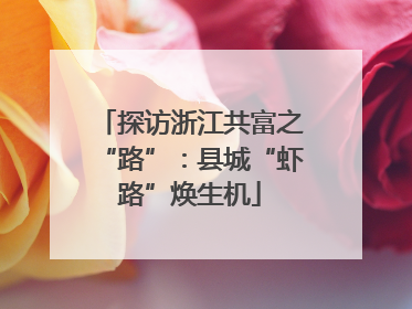 探访浙江共富之“路”：县城“虾路”焕生机