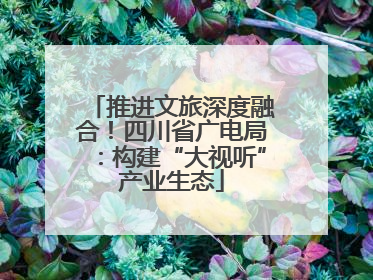 推进文旅深度融合！四川省广电局：构建“大视听”产业生态