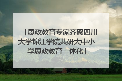思政教育专家齐聚四川大学锦江学院共研大中小学思政教育一体化