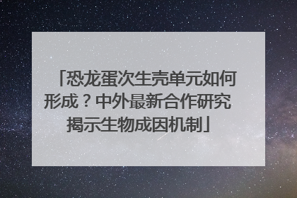 恐龙蛋次生壳单元如何形成？中外最新合作研究揭示生物成因机制