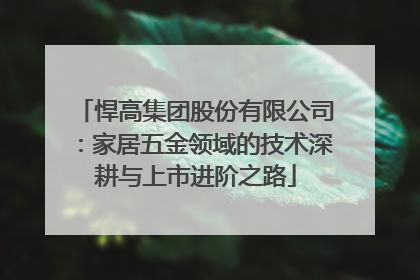 悍高集团股份有限公司：家居五金领域的技术深耕与上市进阶之路