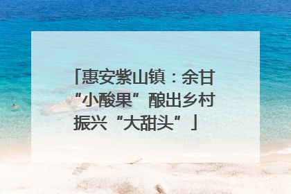 惠安紫山镇：余甘“小酸果”酿出乡村振兴“大甜头”