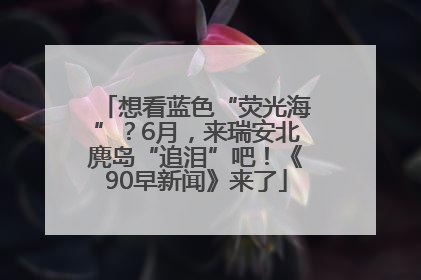 想看蓝色“荧光海”？6月，来瑞安北麂岛“追泪”吧！《90早新闻》来了