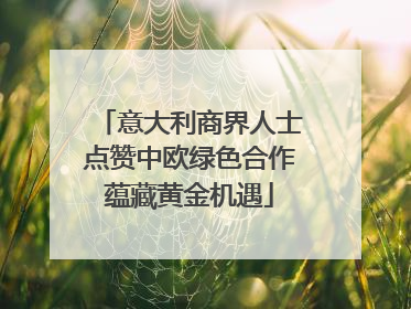 意大利商界人士点赞中欧绿色合作蕴藏黄金机遇