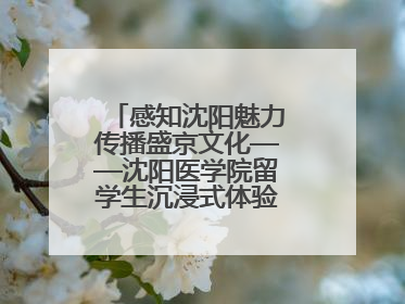感知沈阳魅力传播盛京文化——沈阳医学院留学生沉浸式体验沈阳文旅特色