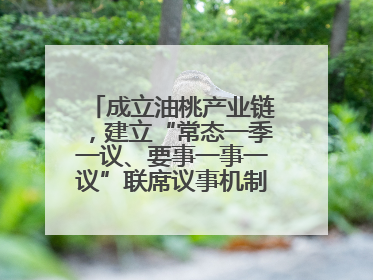 成立油桃产业链，建立“常态一季一议、要事一事一议”联席议事机制，山东省日照市莒县果庄镇——13个党小组“全周期”育果