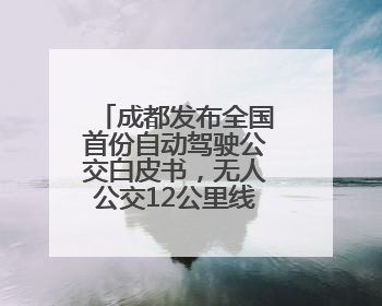 成都发布全国首份自动驾驶公交白皮书，无人公交12公里线路即将实测