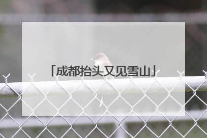 成都抬头又见雪山