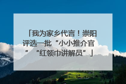 我为家乡代言！崇阳评选一批“小小推介官”“红领巾讲解员”