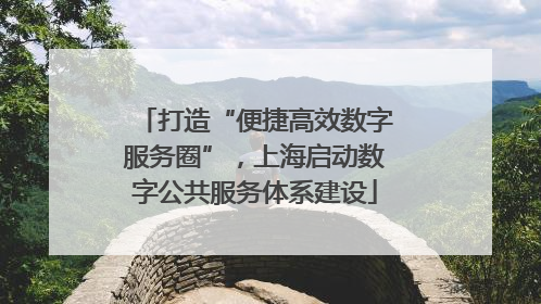 打造“便捷高效数字服务圈”，上海启动数字公共服务体系建设