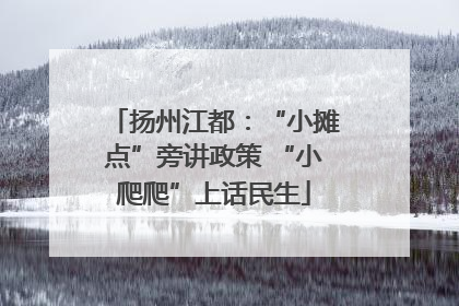 扬州江都：“小摊点”旁讲政策 “小爬爬”上话民生