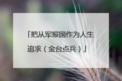 把从军报国作为人生追求（金台点兵）