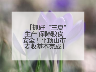 抓好“三夏”生产 保障粮食安全!平顶山市麦收基本完成