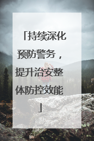 持续深化预防警务，提升治安整体防控效能