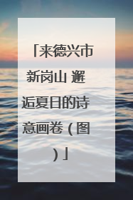来德兴市新岗山 邂逅夏日的诗意画卷(图)