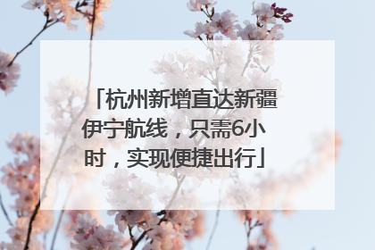 杭州新增直达新疆伊宁航线，只需6小时，实现便捷出行