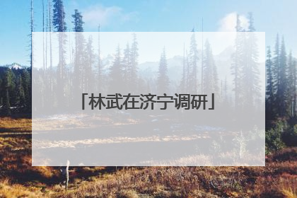 林武在济宁调研