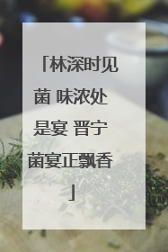 林深时见菌 味浓处是宴 晋宁菌宴正飘香