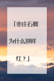 枣庄石榴为什么别样红？