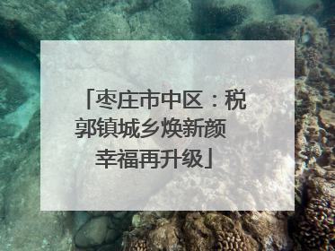 枣庄市中区：税郭镇城乡焕新颜 幸福再升级