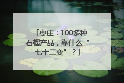 枣庄：100多种石榴产品，靠什么“七十二变”？