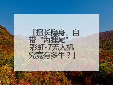擅长隐身、自带“海狸尾” 彩虹-7无人机究竟有多牛？