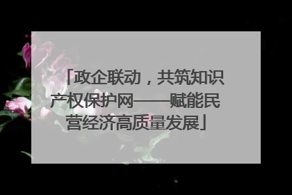 政企联动，共筑知识产权保护网——赋能民营经济高质量发展