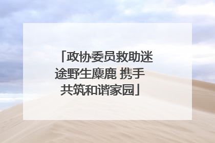 政协委员救助迷途野生麋鹿 携手共筑和谐家园