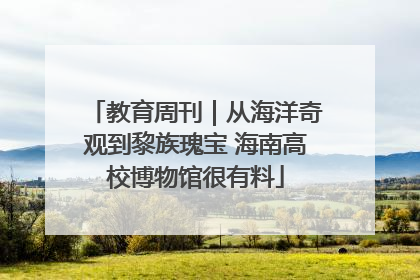 教育周刊｜从海洋奇观到黎族瑰宝 海南高校博物馆很有料