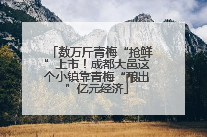 数万斤青梅“抢鲜”上市！成都大邑这个小镇靠青梅“酿出”亿元经济